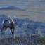 Pequeno veado no Badlands National Park, em South Dakota, nos Estados Unidos